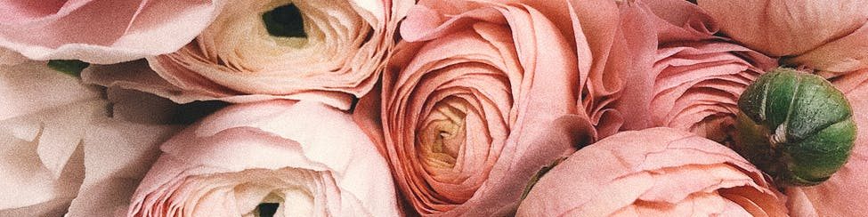 The Real Story Ladies